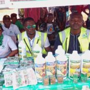 agriculture au cameroun formation distribution