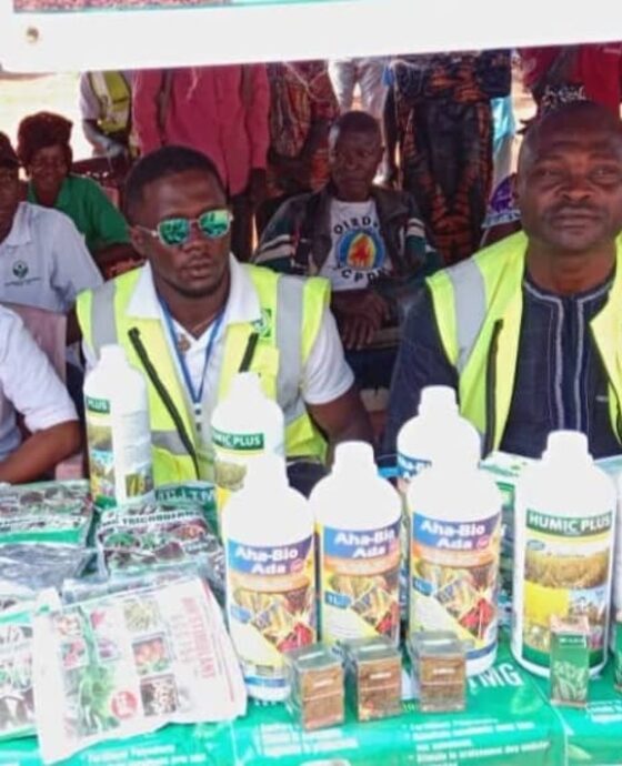 agriculture au cameroun formation distribution